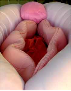 Upholstered Vagina Couch on Craigslist